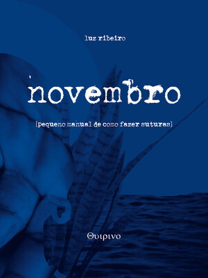 cover image of novembro